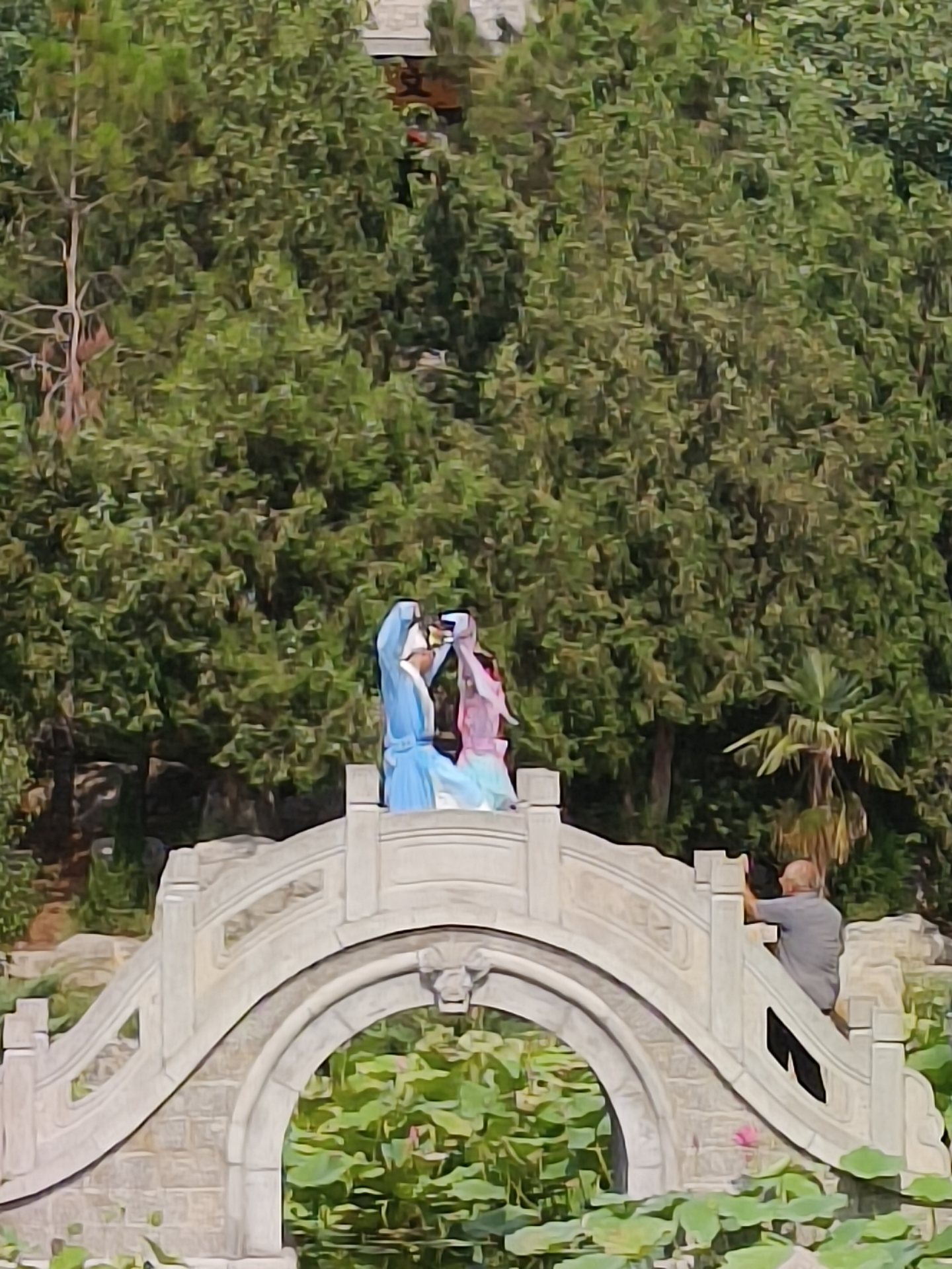 柔柔和小伙伴站在园林小桥上向远处看